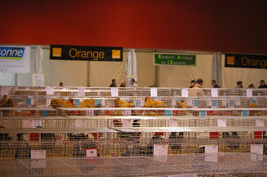 Salon de l agriculture et de la nature de l essonne: salon de l agriculture 084